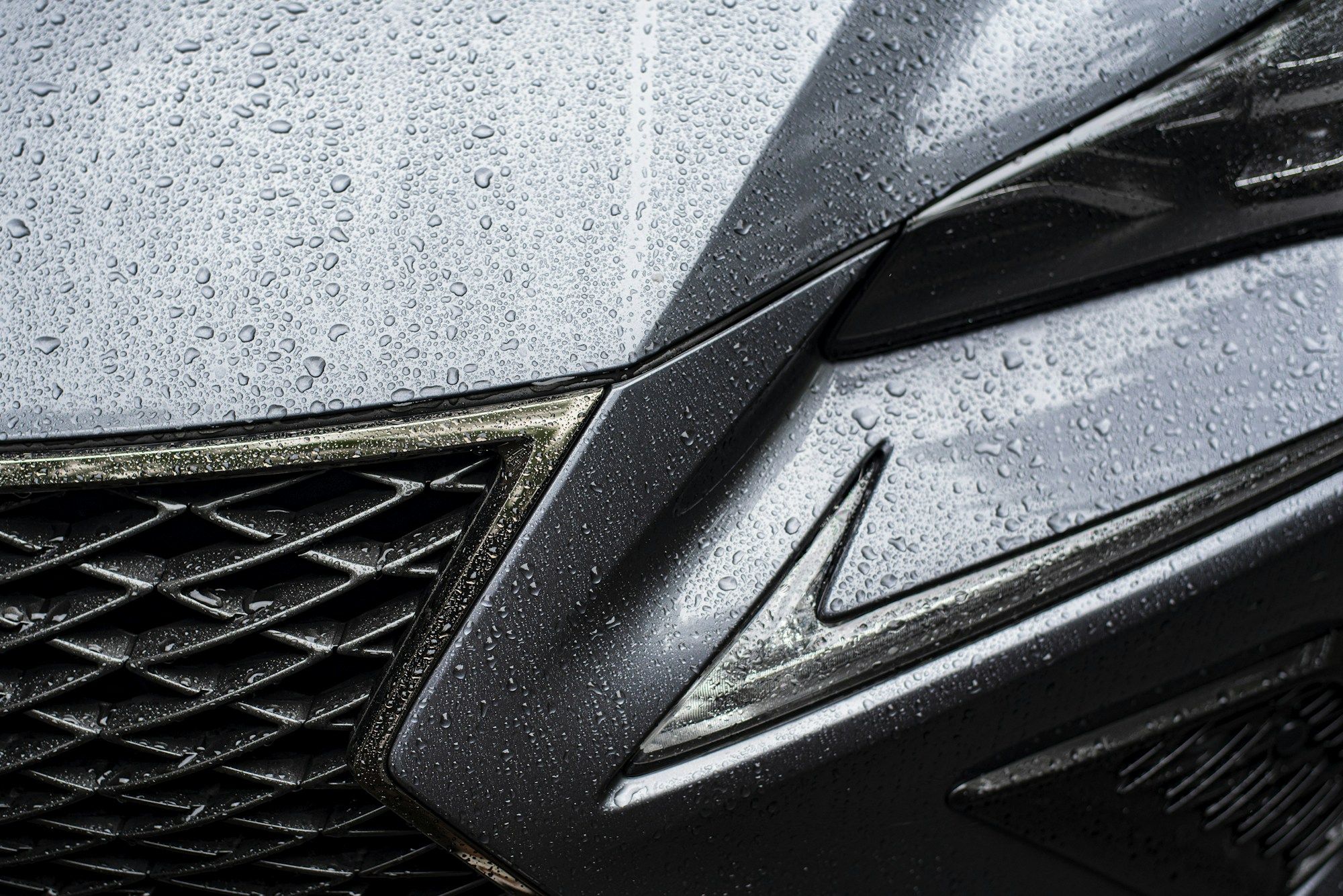 Close-up of a luxury sedan front fascia — paint protection film and ceramic coating at Auto Xpert Belmont