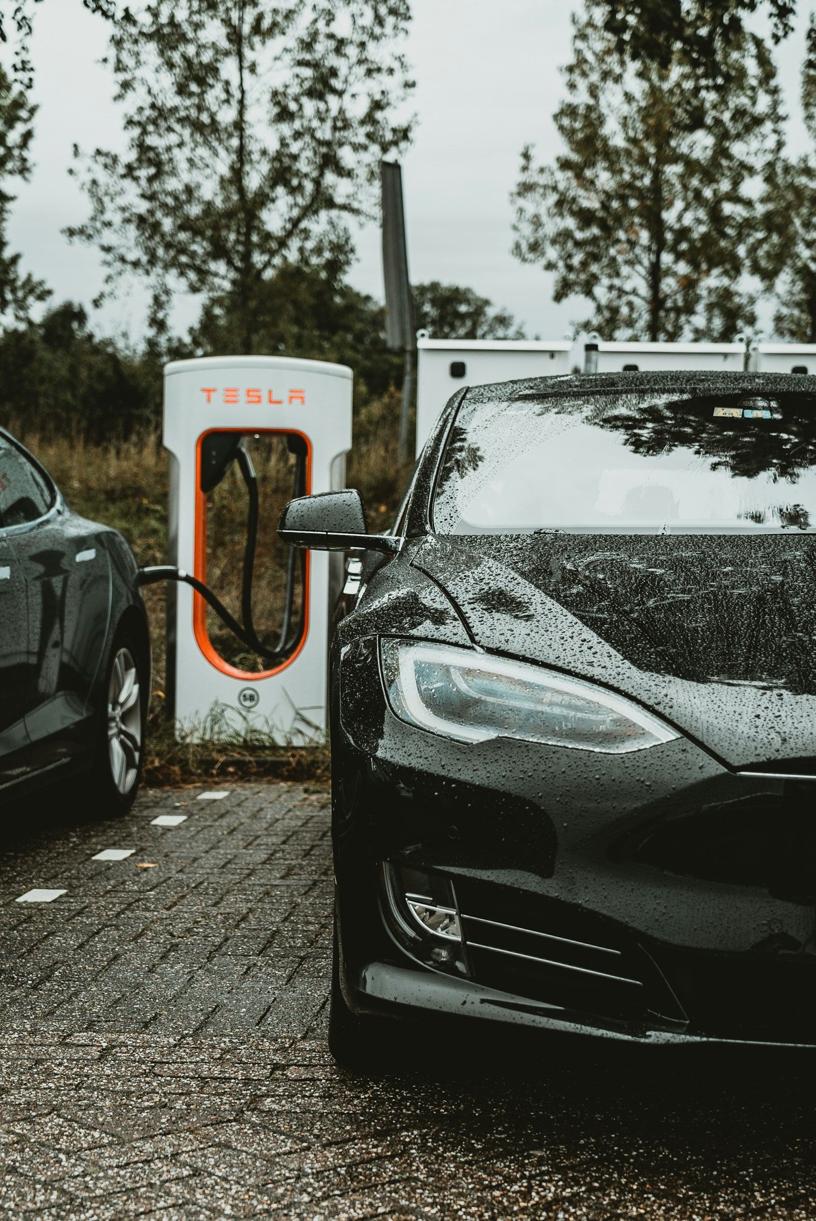 Glossy black Tesla — Full Body PPF + Ceramic Coating Tesla special at Auto Xpert Belmont
